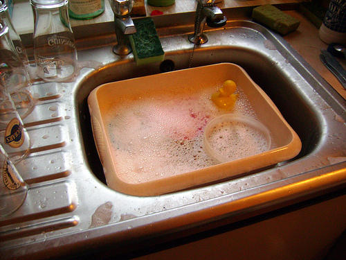 Duck Day 10 (20090110) - The dishes