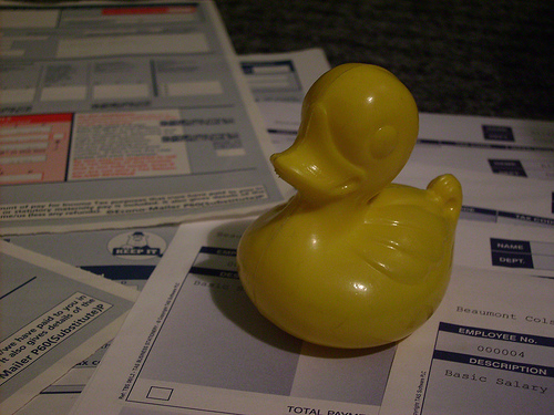 Duck Day 16 (20080116) - 1 + 1 = 2