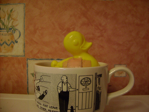 Duck Day 26 (26012008) - Cup of tea