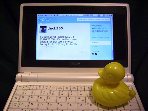 Duck Day 34 (03022009) - Twitter