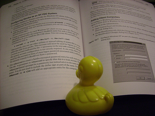 Duck Day 36 (05022009) - Reading