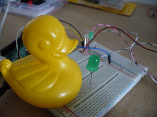 Duck Day 579 (02082010) - Huge LED