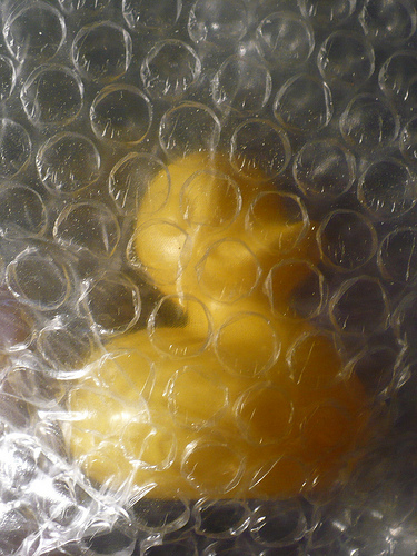 Duck Day 581 (04082010) - Bubble wrap duck