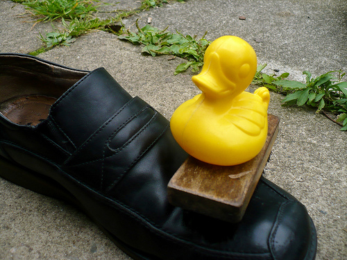 Duck Day 598 (21082010) - Shoe polishing