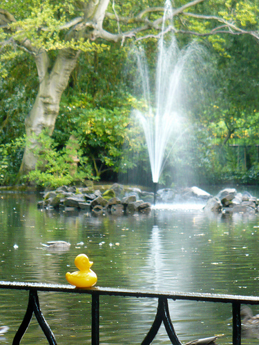 Duck Day 600 (23082010) - Water fountain