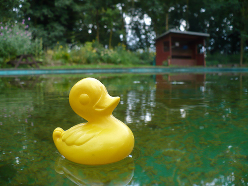 Duck Day 605 (28082010) - Paddle in the boat pond