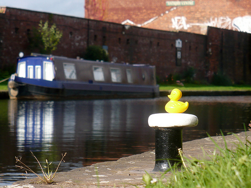 Duck Day 613 (05092010) - Leeds' canal