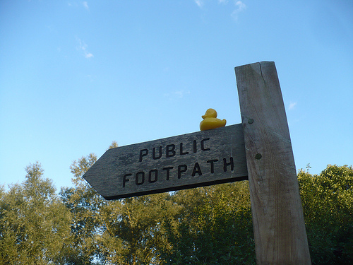 Duck Day 625 (17092010) - Sign with a view