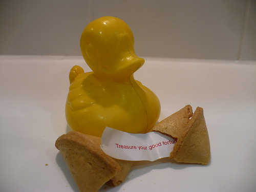 Duck Day 626 (18092010) - Fortune cookie