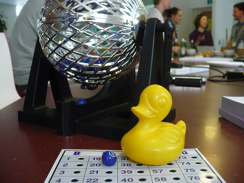 Duck Day 627 (19092010) - Bingo