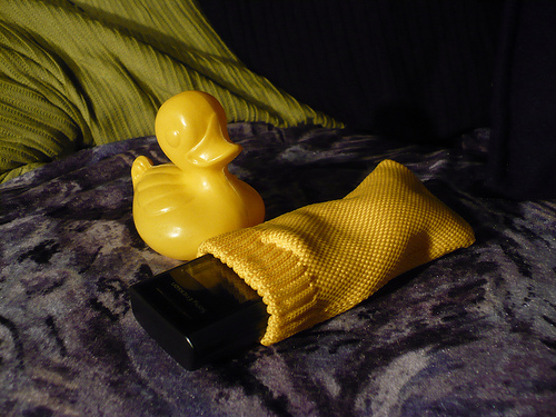 Duck Day 631 (23092010) - Phone sleeping bag