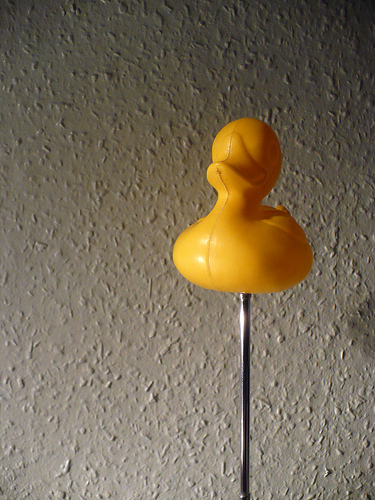 Duck Day 636 (28092010) - Pole dancer