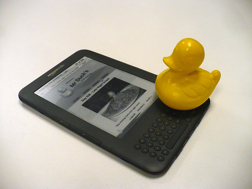 Duck Day 640 (02102010) - Kindle