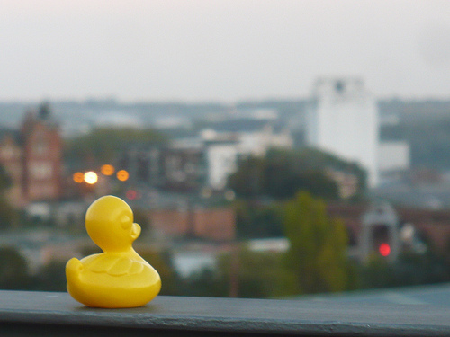 Duck Day 645 (07102010) - A view from the big bridge