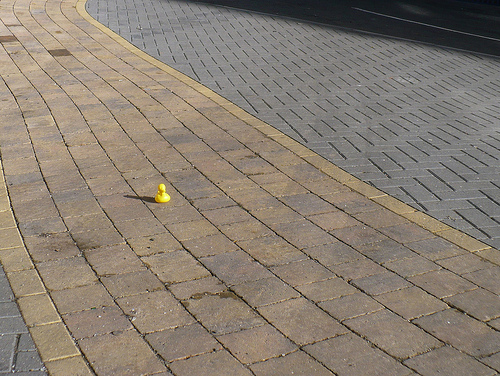 Duck Day 654 (16102010) - Yellow brick road