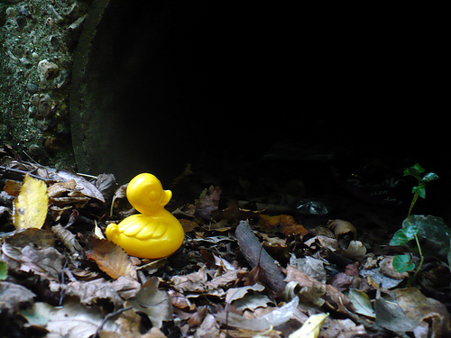 Duck Day 666 (28102010) - Dark Cave