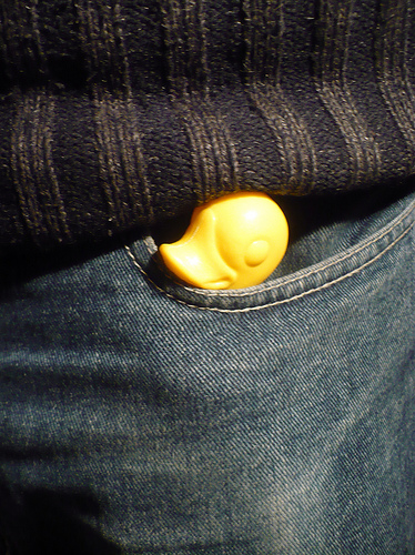 Duck Day 681 (12112010) - Hiding in the pocket