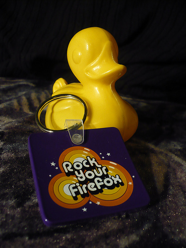 Duck Day 685 (16112010) - My new key ring