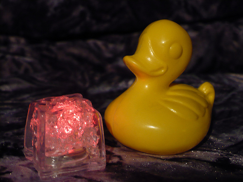 Duck Day 686 (17112010) - Glowing ice