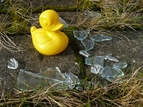 Duck Day 687 (18112010) - Broken glass