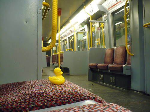 Duck Day 689 (20112010) - Metro home