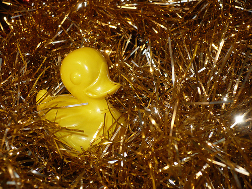 Duck Day 697 (28112010) - Tinsel