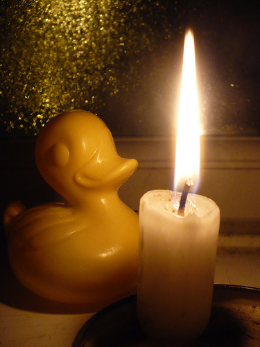 Duck Day 702 (03122010) - Candle lit duck