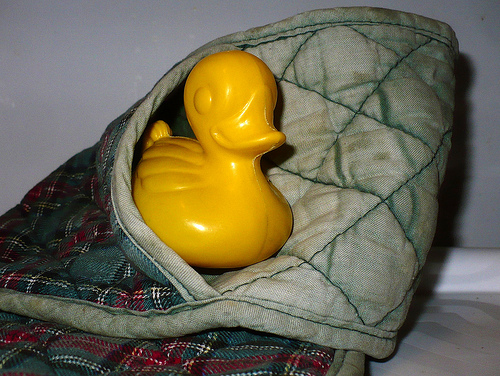 Duck Day 707 (08122010) - Oven Gloves